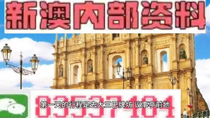 新澳门精准资料免费提供,新澳门精准资料免费提供，犯罪行为的警示与反思