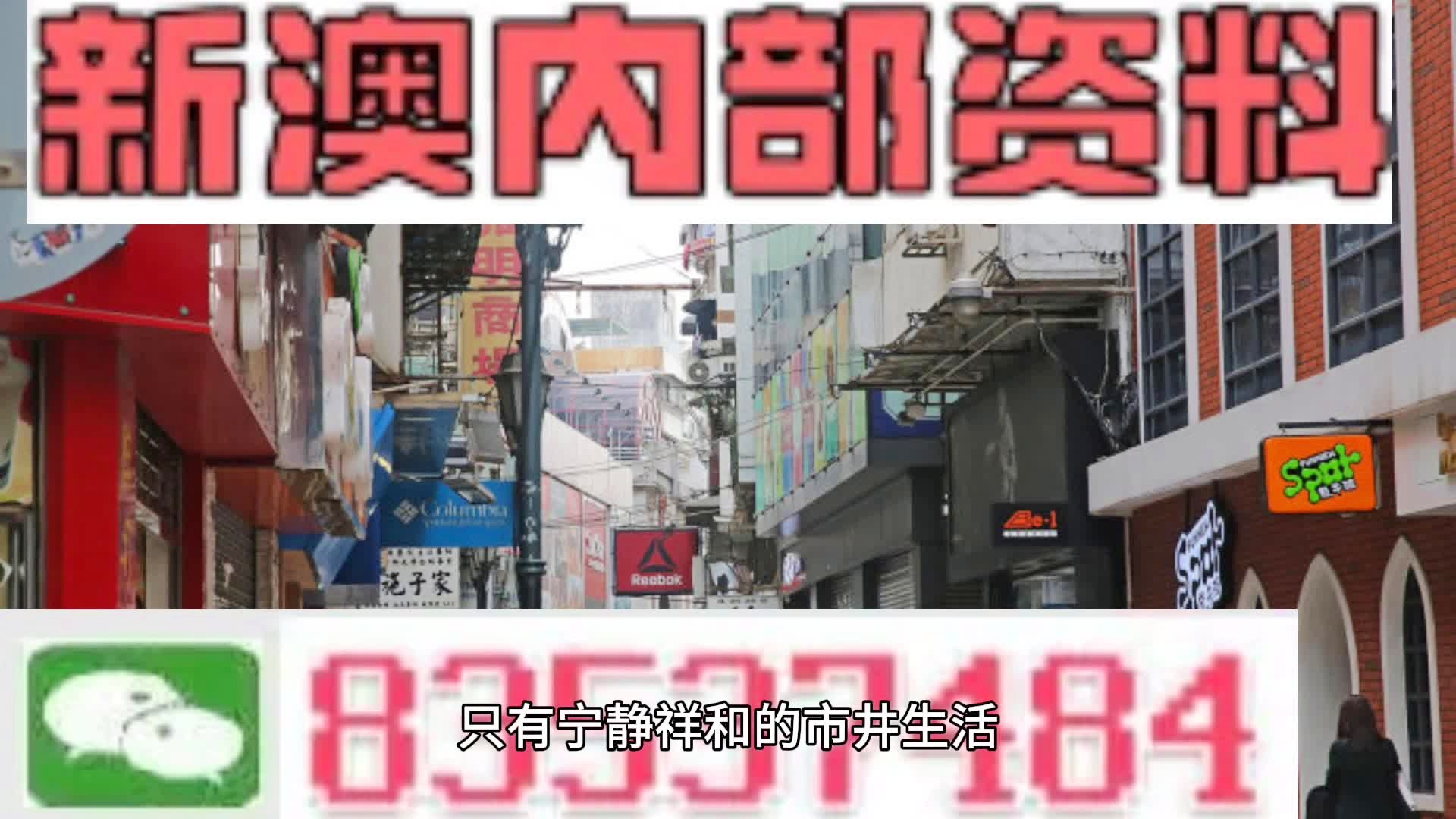 澳门精准资料大全免费使用,澳门精准资料大全免费使用——揭示违法犯罪风险