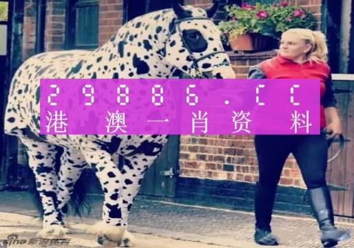 一肖一码9995cocm,一肖一码，9995Cocm的独特魅力与探索