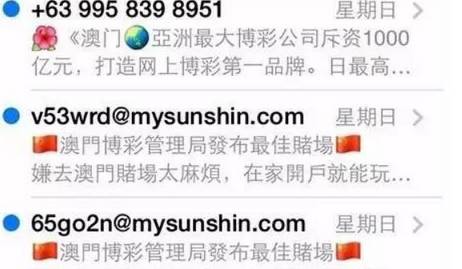 澳门天天免费精准大全,澳门天天免费精准大全——揭示犯罪行为的警示文章