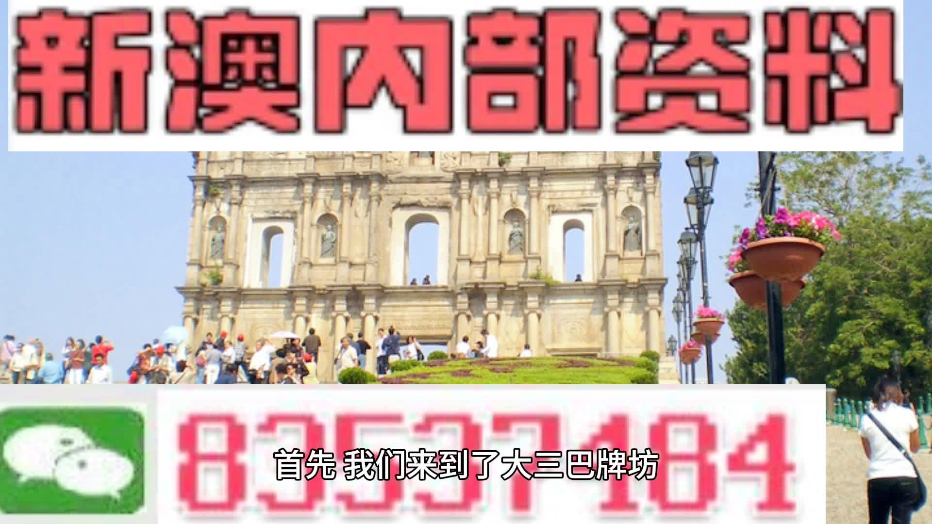 澳门大网站vip资料,澳门大网站VIP资料，探索与解析
