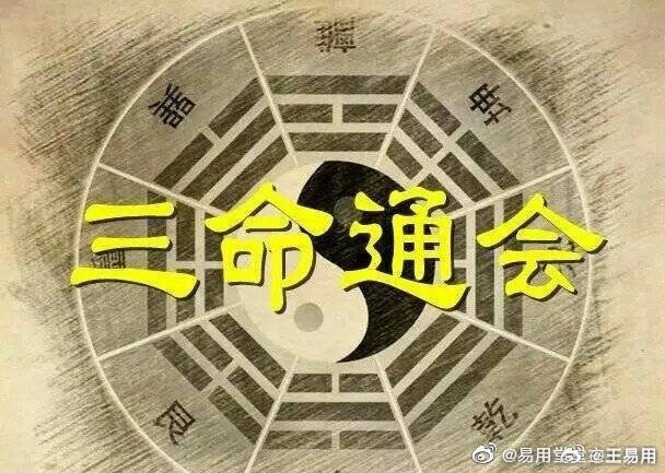 精准一肖一码一子一中,精准一肖一码一子一中，探索命理学的奥秘