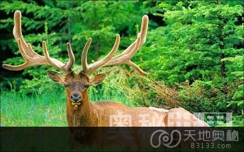 资讯 第357页