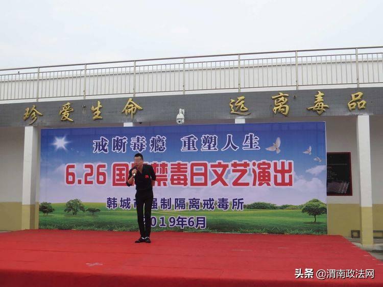 马6新款,马6新款，重塑经典，引领潮流