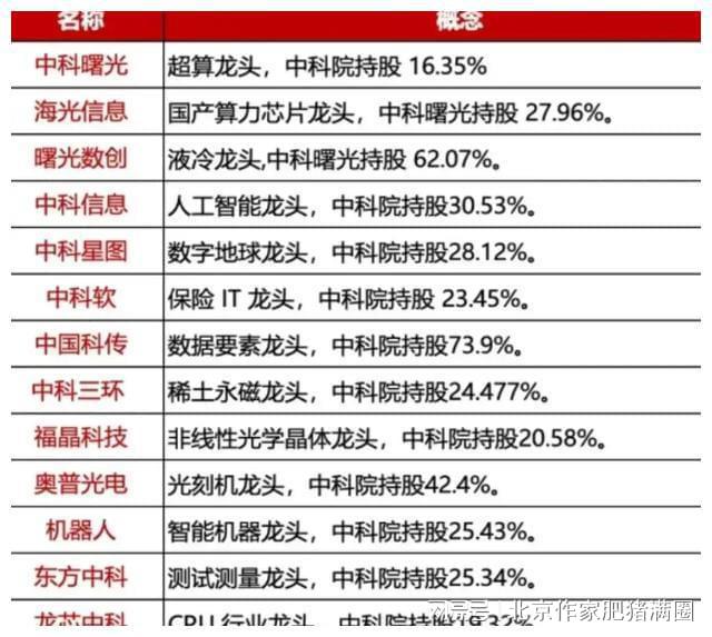 三肖必中特三肖必中,三肖必中特，揭秘彩票背后的秘密与策略