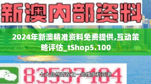 新澳精准资料免费提供网站,新澳精准资料免费提供网站，探索与启示