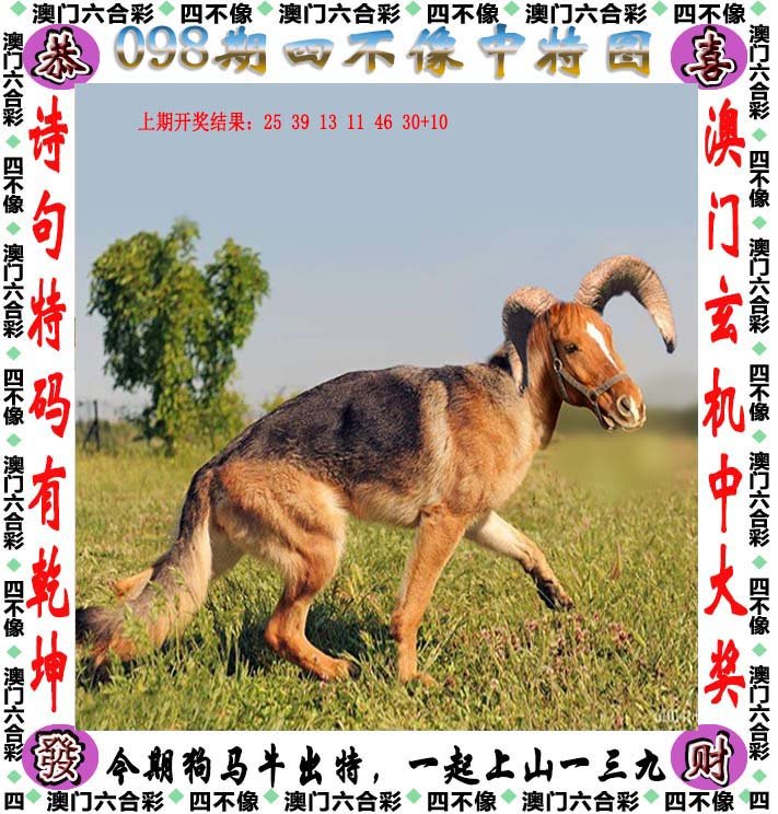 澳门最精准四不像正版,澳门最精准四不像正版，探索与解析