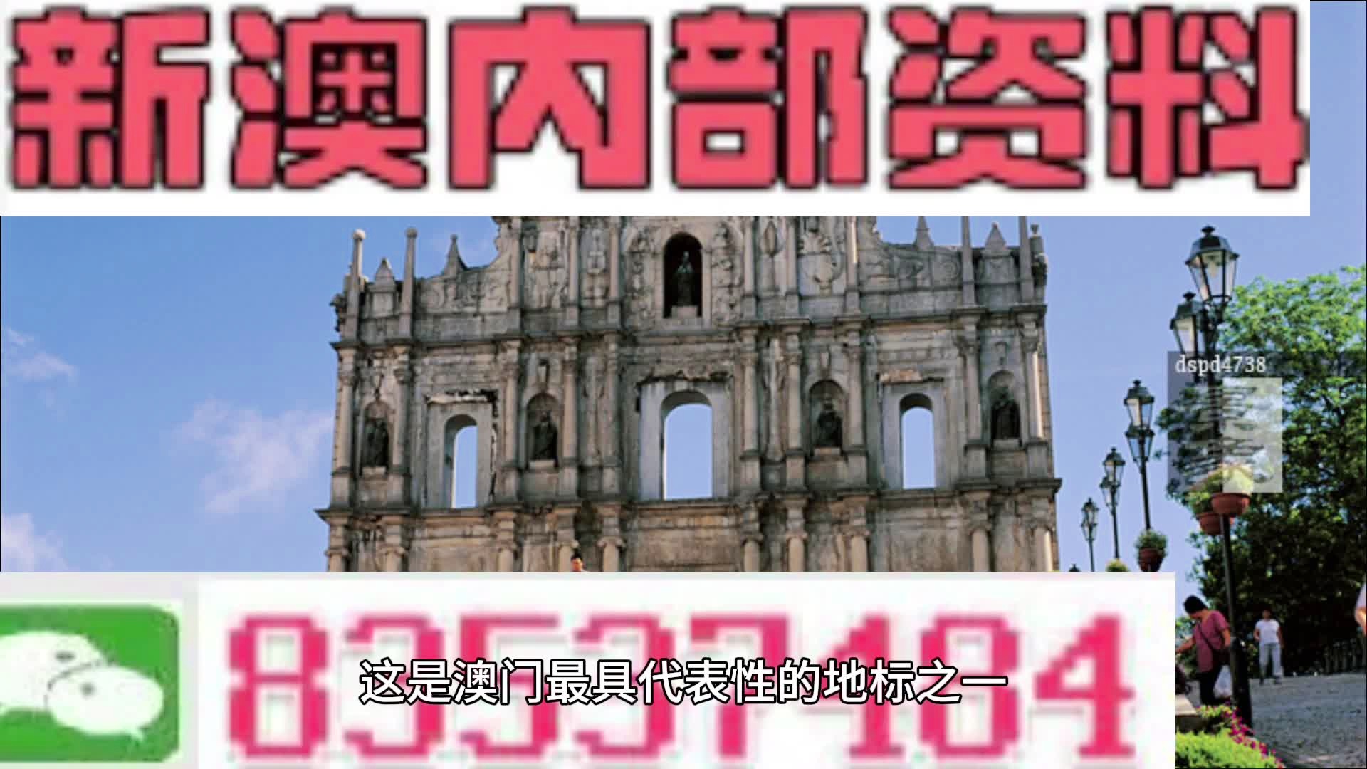新澳2025年精准资料220期,新澳2025年精准资料220期深度解析