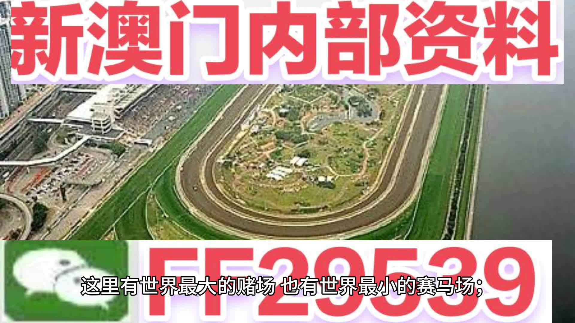 2025澳门特马今晚开奖49图片,澳门特马今晚开奖49图片——探索与期待