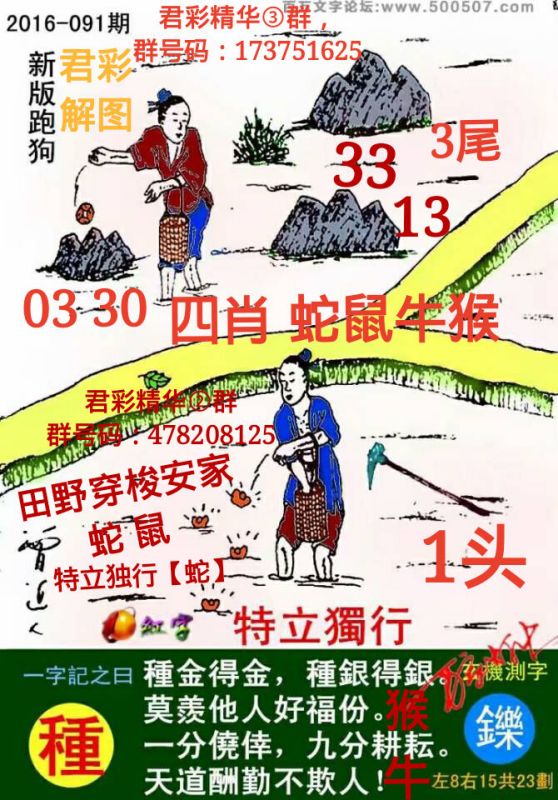 跑狗图993994www跑狗,跑狗图，一种文化现象的多维解读
