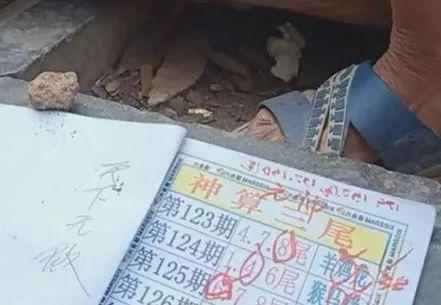 百科 第113页