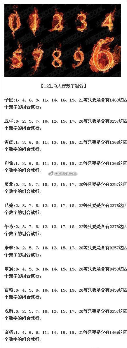 最准的一肖一码038720cm,揭秘最准的一肖一码，探寻数字与生肖的神秘联系（038720cm）
