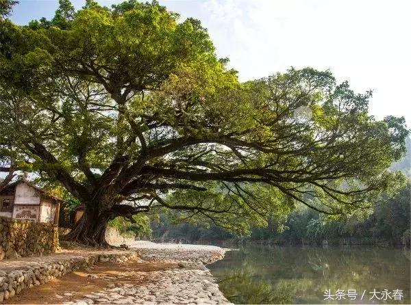 2025澳门三中三网站,探索澳门三中三网站，展望未来在澳门的发展